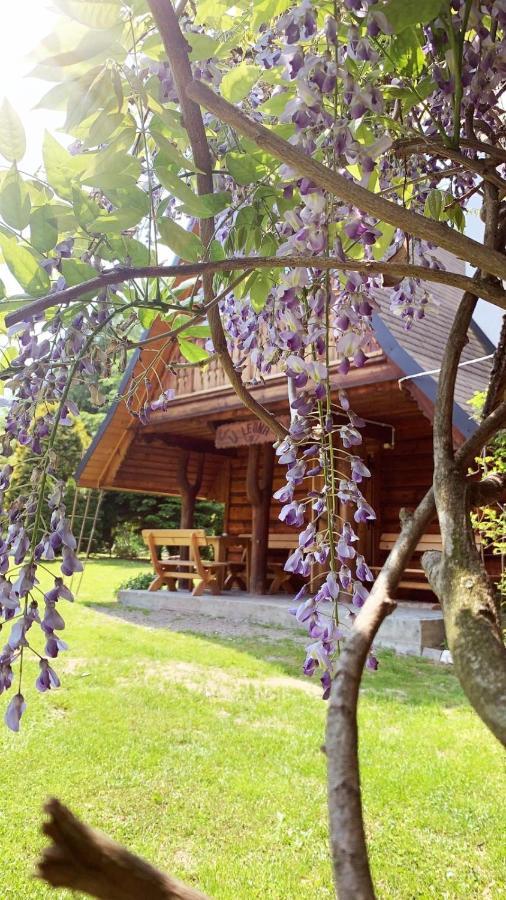 Villa U Leona à Gorlice Extérieur photo
